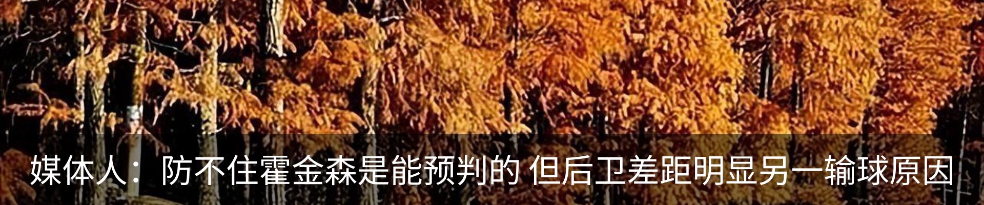 内页banner